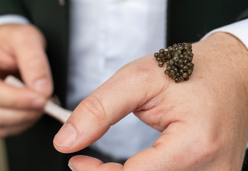 Cata de caviar Riofrío.jpg